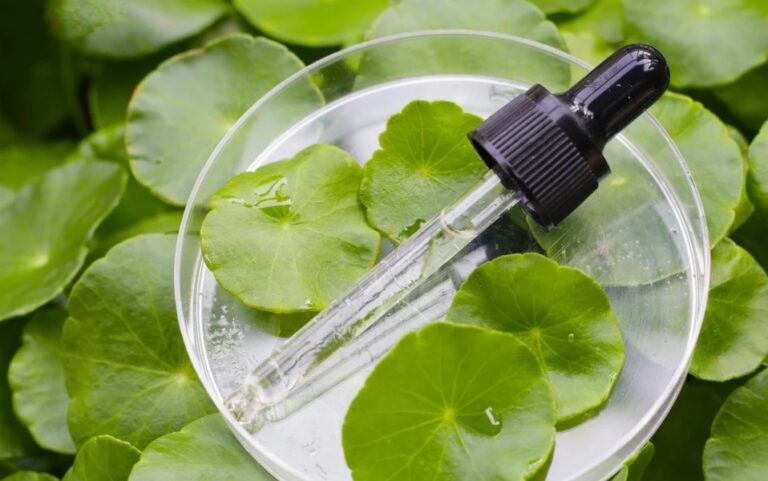 Top de ingredientes que regeneran tu piel después del láser